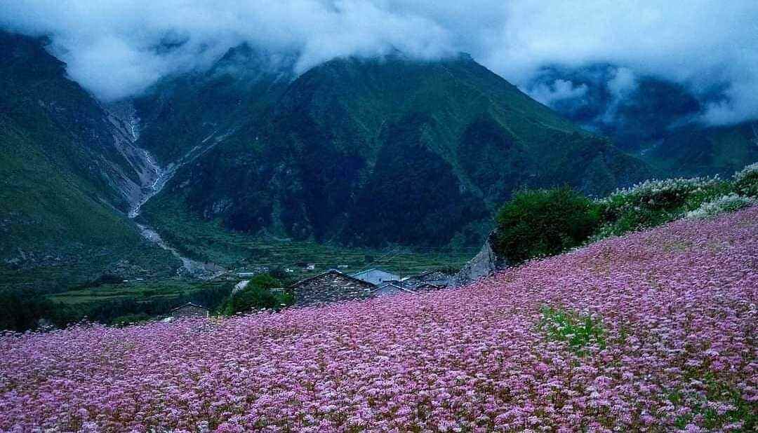 Valley of Flowers – A Must Visit for Nature Lovers