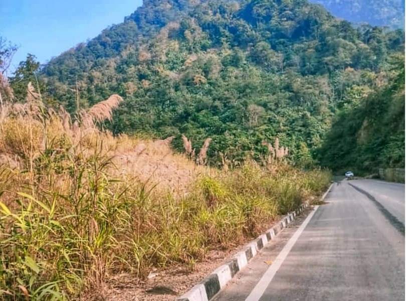 Visit this mysterious bird suicide point in Assam