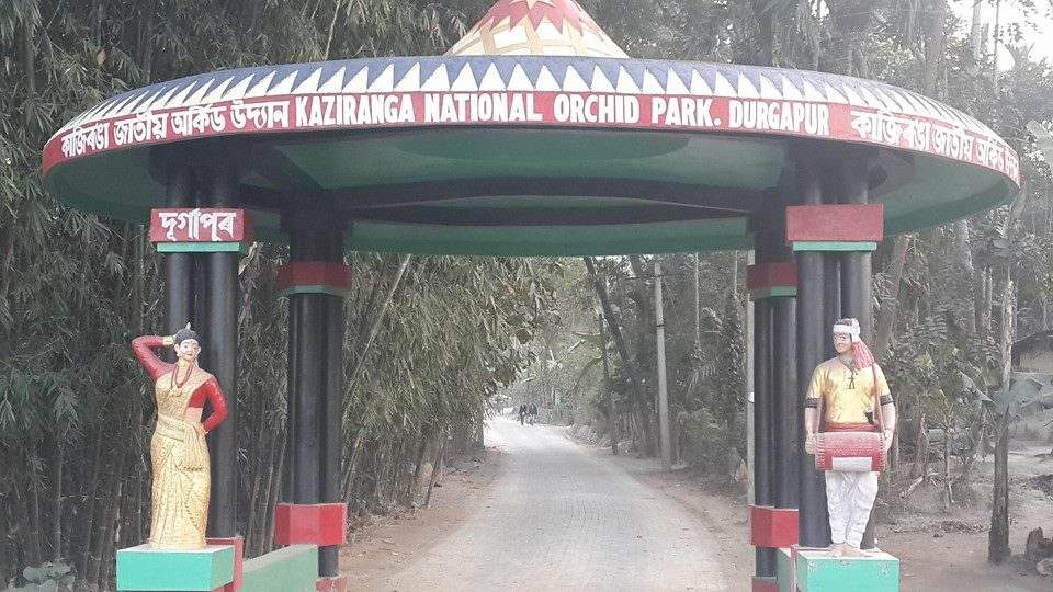 When in Kaziranga of Assam, Visit the Largest Orchid Park