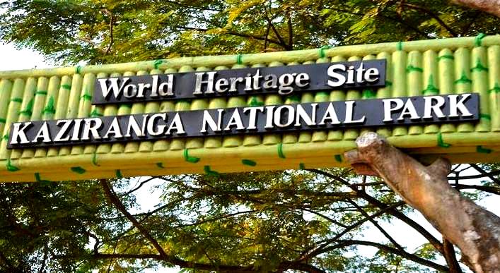 <strong></img>Visit Kaziranga National Park, the Finest Wildlife Retreat in Assam</strong>