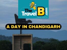 a Day in Chandigarh