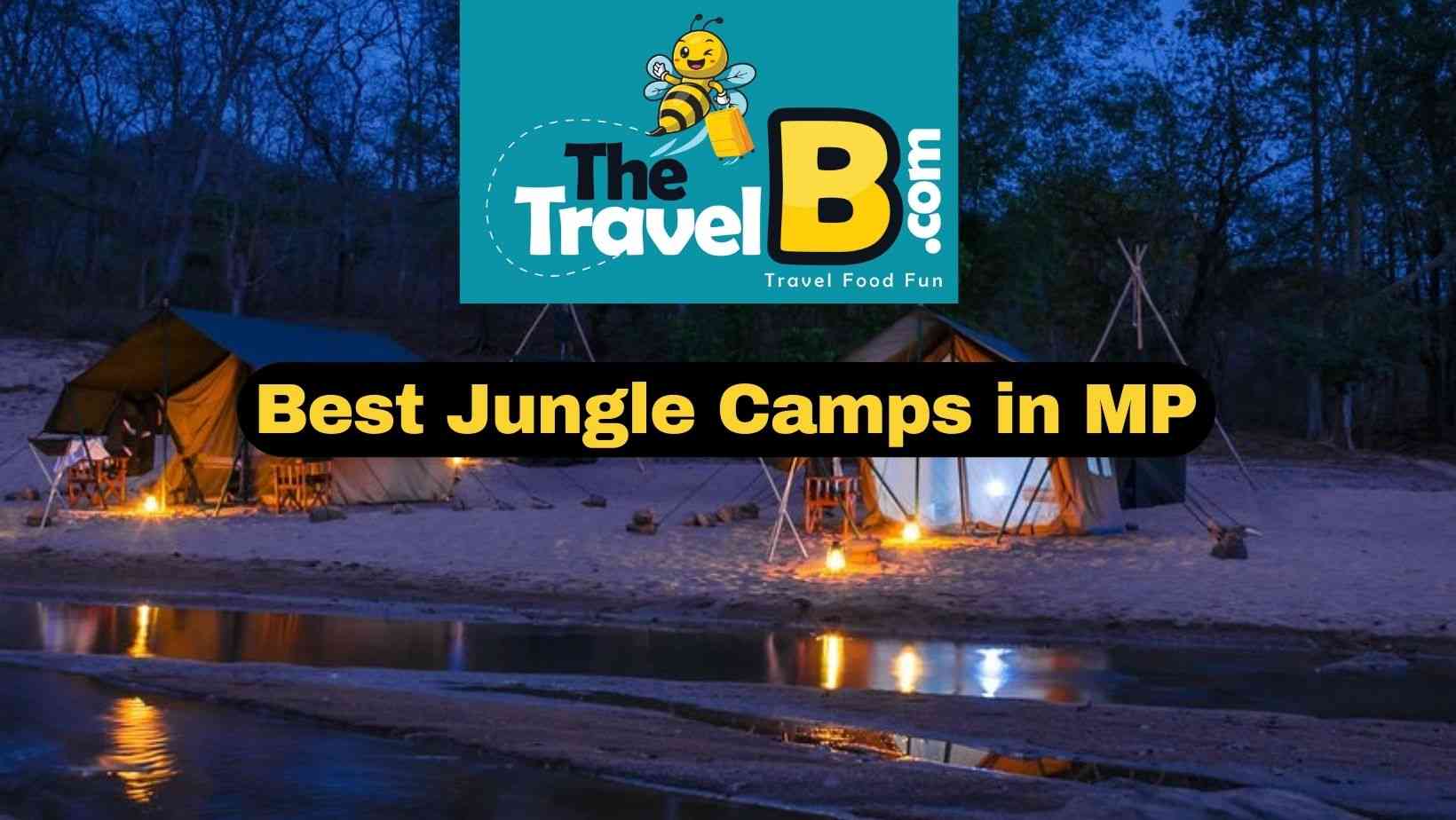 <strong>Must Experience Jungle Camp in Madhya Pradesh in Winters</strong>