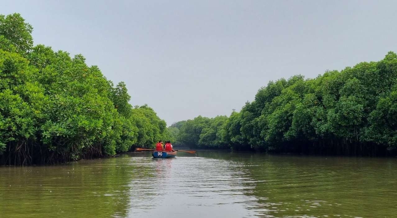 <strong>Trip to World’s 2nd Largest Mangrove Forest, Pichavaram in TN</strong>