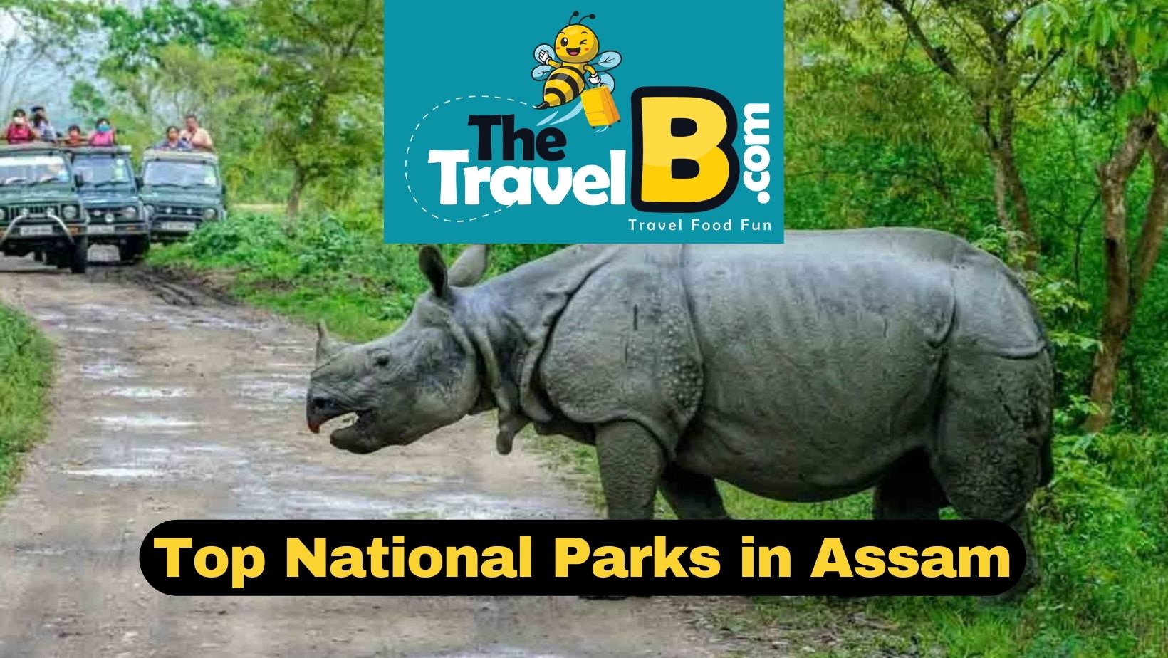 Top National Parks in Assam
