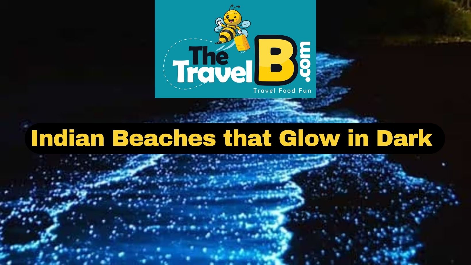 Top 10 Beaches in India that Glow at Night
