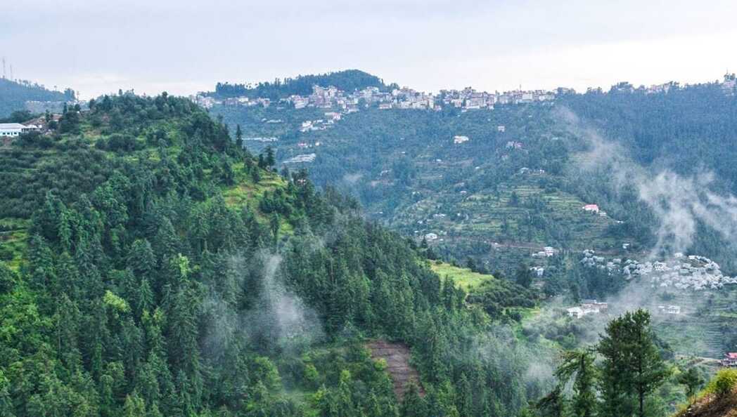Theog Hill Station: A Serene Summer Getaway in Himachal